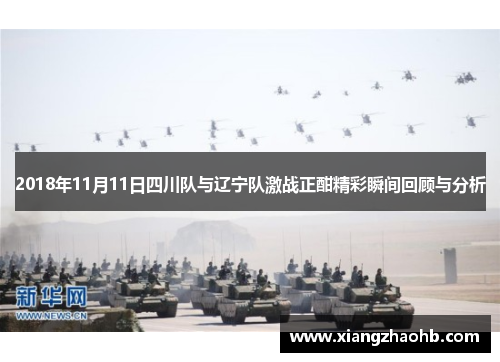 2018年11月11日四川队与辽宁队激战正酣精彩瞬间回顾与分析