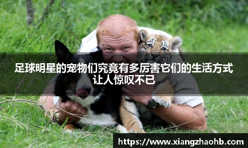 足球明星的宠物们究竟有多厉害它们的生活方式让人惊叹不已